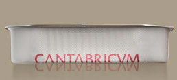 Anchoa cantabricum