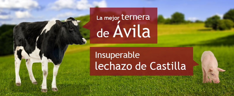 La mejor ternera de Avila e insuperable lechon de Castilla