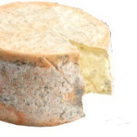 Gorgonzola cremoso