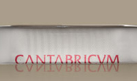 Anchoa cantabricum