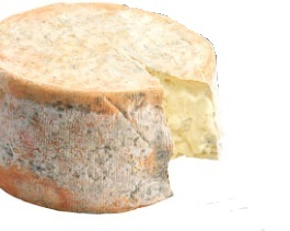 Gorgonzola cremoso
